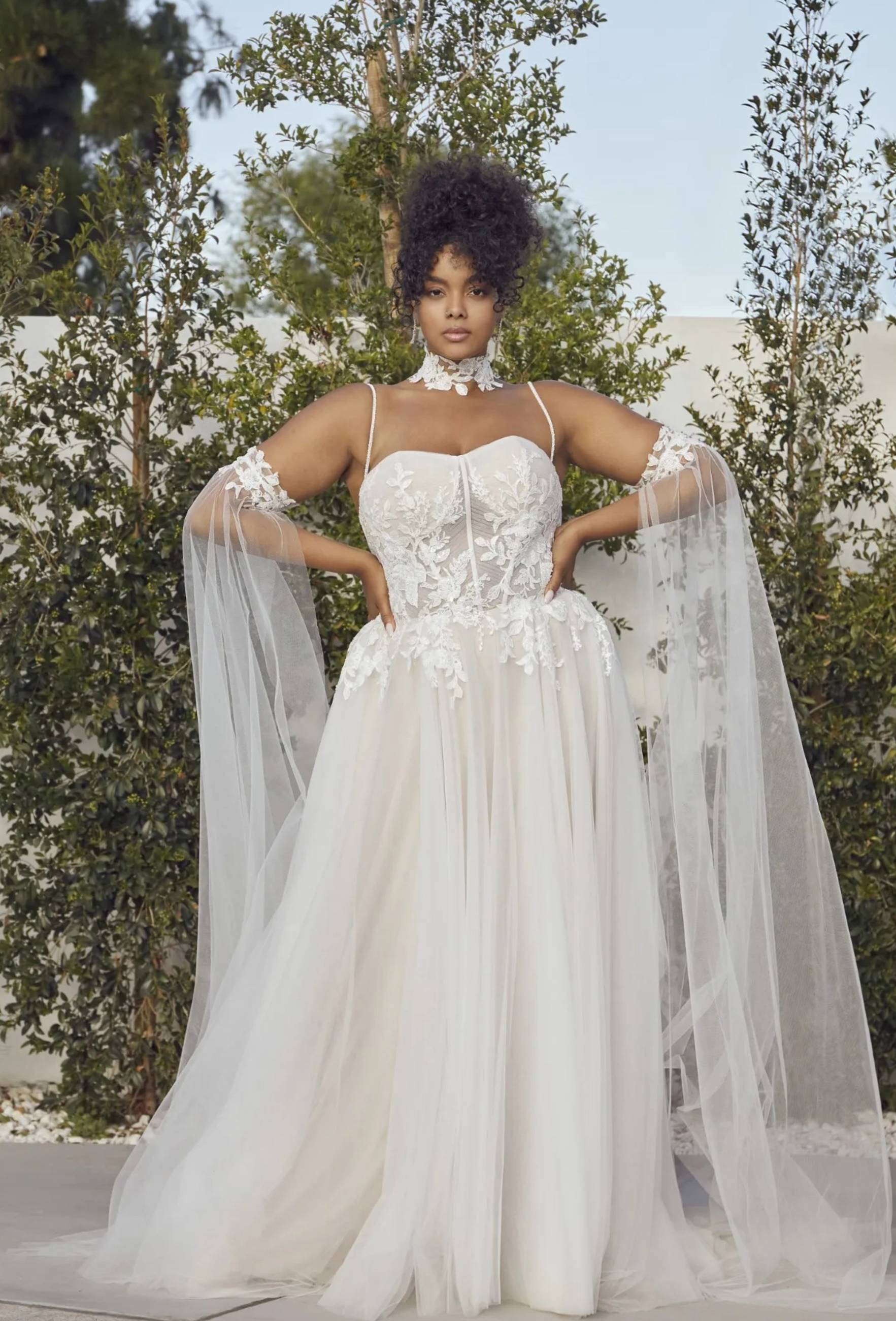 Curvy Collection photo