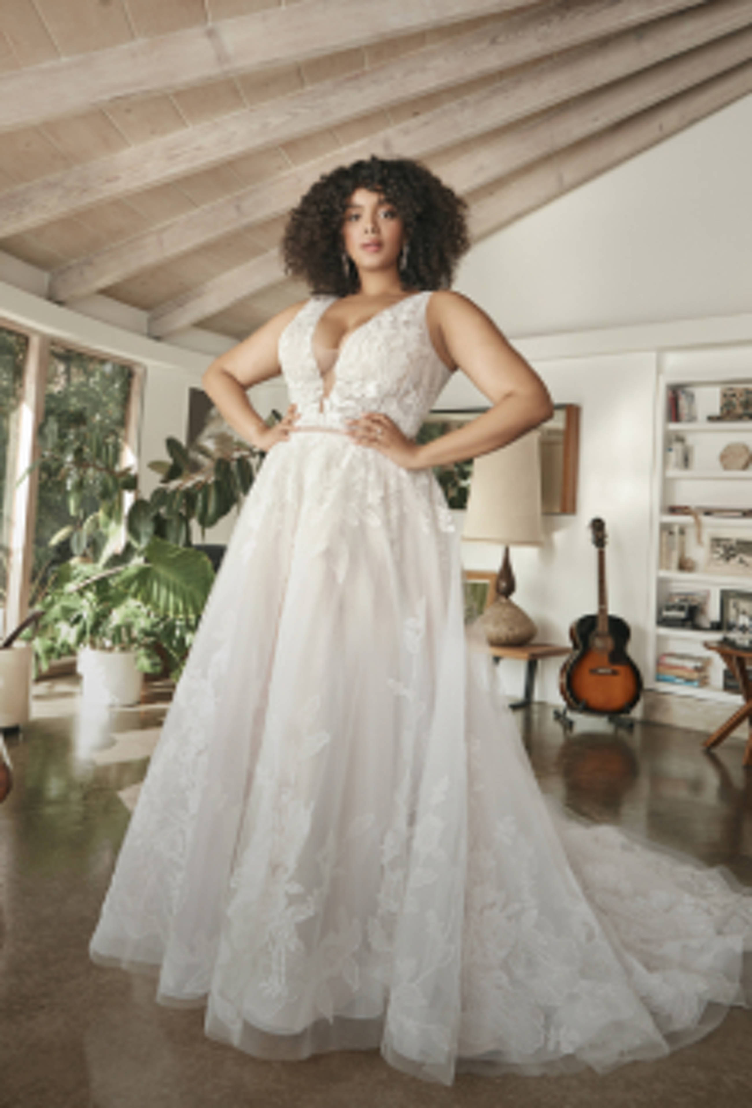 Curvy Collection photo