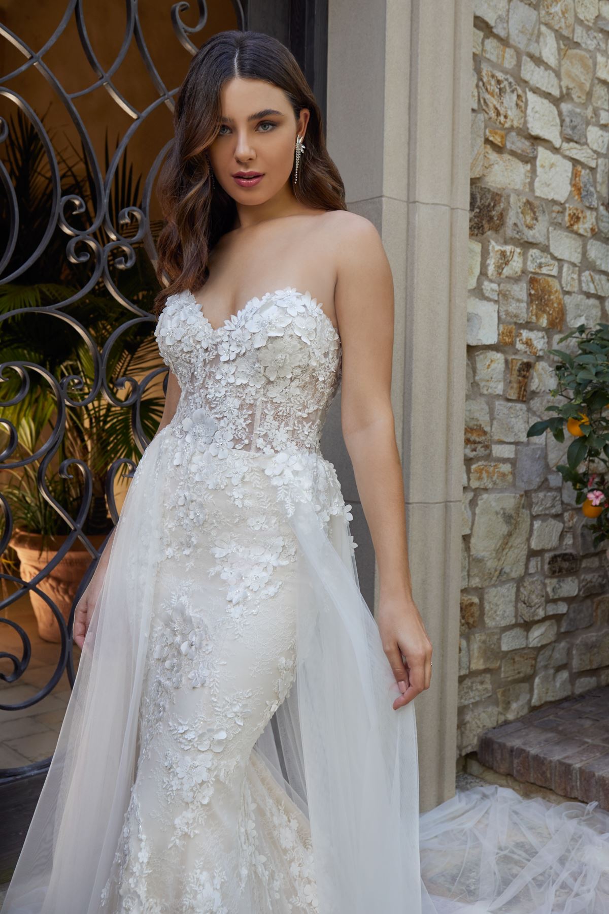 Coast katerina fit and flare dress sale