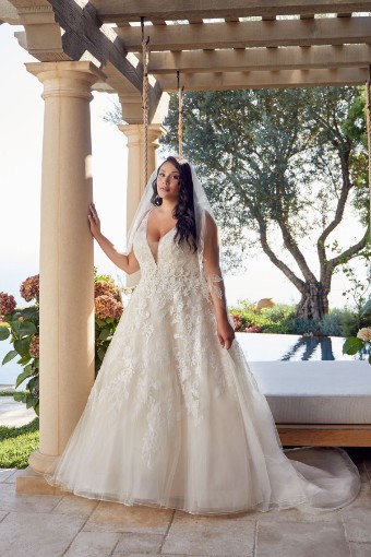 Style 2440C Ann 2440C Ann #1 thumbnail